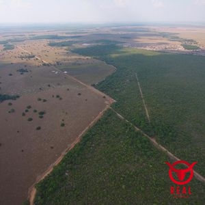 Fazenda à venda Araguaiana,Mato Grosso