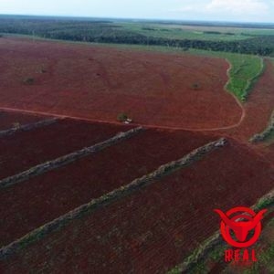 Fazenda à venda São Valério da Natividade,Tocantins