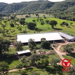 Fazenda à venda Mairipotaba,Goiás