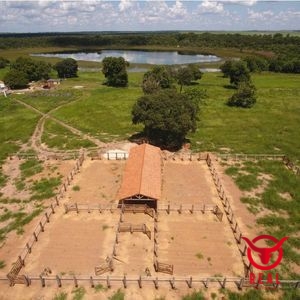 Fazenda à venda Araguaiana,Mato Grosso