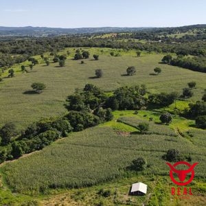 Fazenda à venda Mairipotaba,Goiás