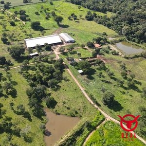 Fazenda à venda Mairipotaba,Goiás