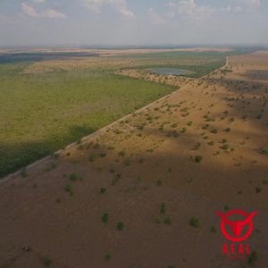 Fazenda à venda Araguaiana,Mato Grosso