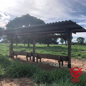 Fazenda à venda Araguaiana,Mato Grosso